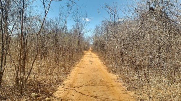 As dificuldades da existência sertaneja em 'Vidas Secas'