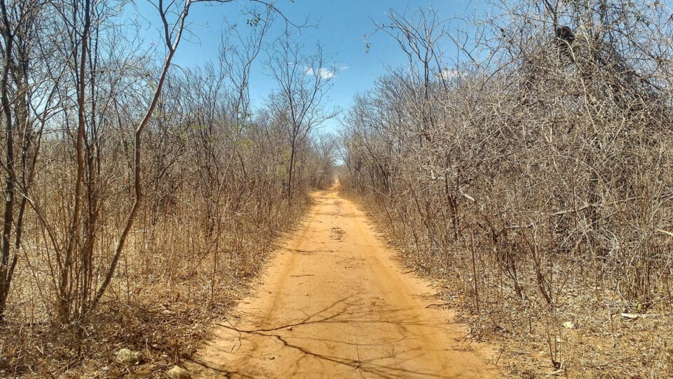 As dificuldades da existência sertaneja em 'Vidas Secas'