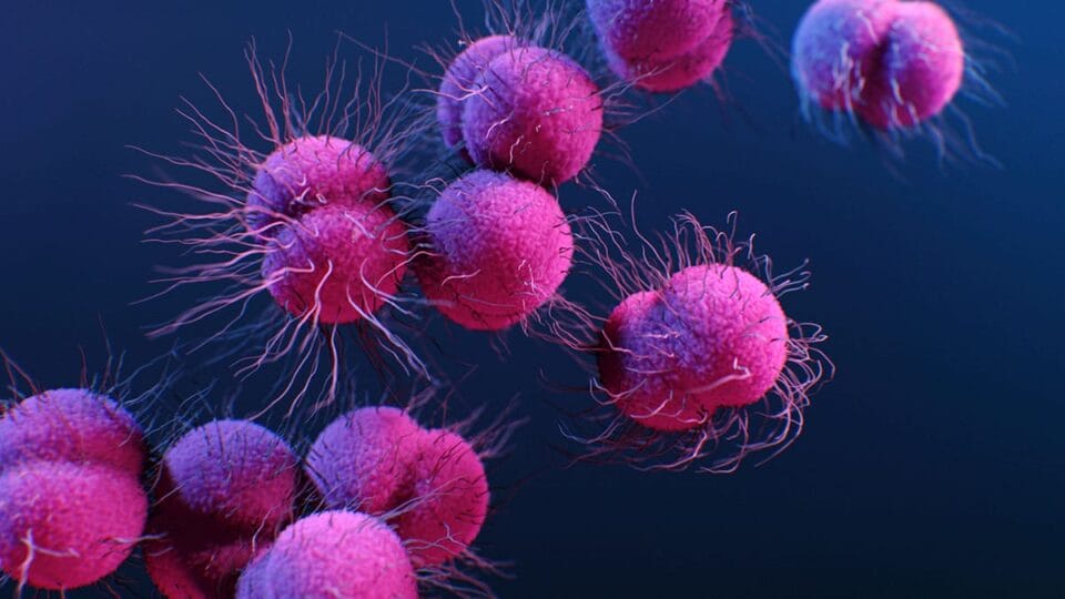 Bactérias resistentes podem matar milhões até 2050