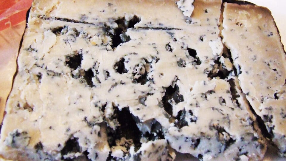 Cabrales: conheça um dos queijos mais caros do mundo