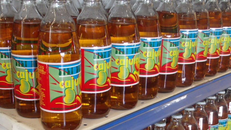Conheça a cajuína, o sabor do Nordeste