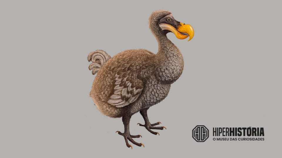 5 animais extintos no século XIX