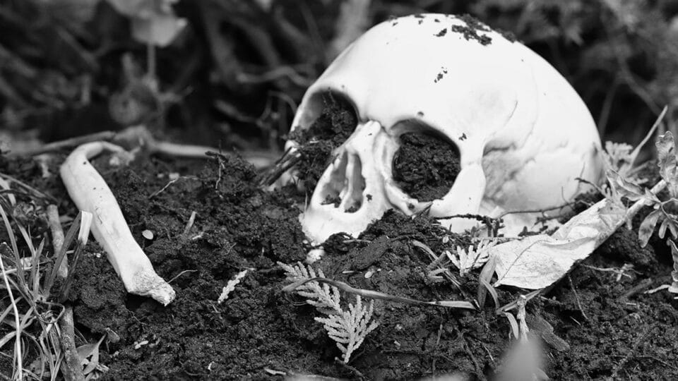 Os 317 esqueletos de Gloucester