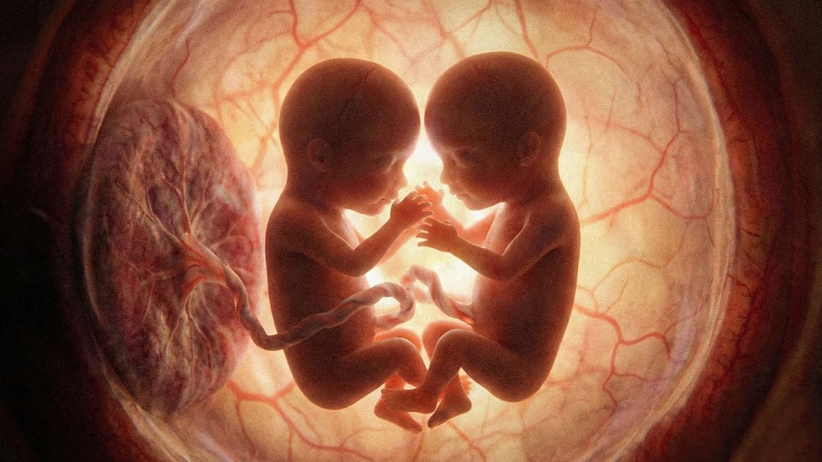 Como são formados os gêmeos?